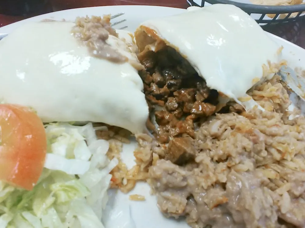 Burrito with Al Pastor